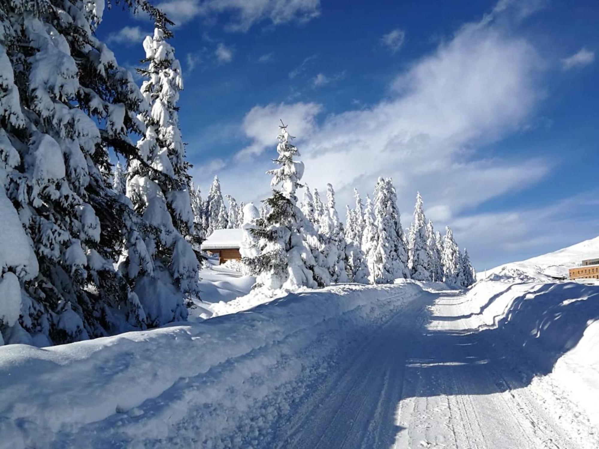 Flat South Of Kitzb Hel With Nationalparkcard Daire Hollersbach im Pinzgau Dış mekan fotoğraf